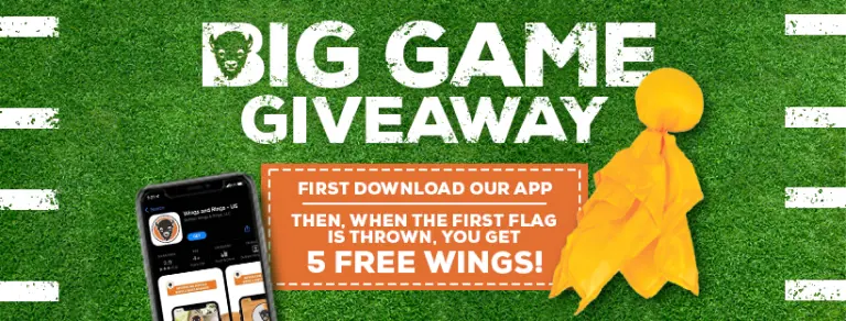 Big game promotional banner
